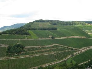 2008.8 Rhine Valley 8.JPG copy