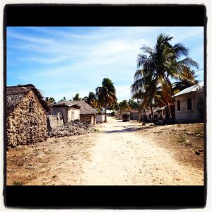 2012.11 Tanzania 8_Jambiani