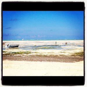 2012.11 Tanzania 9_Jambiani